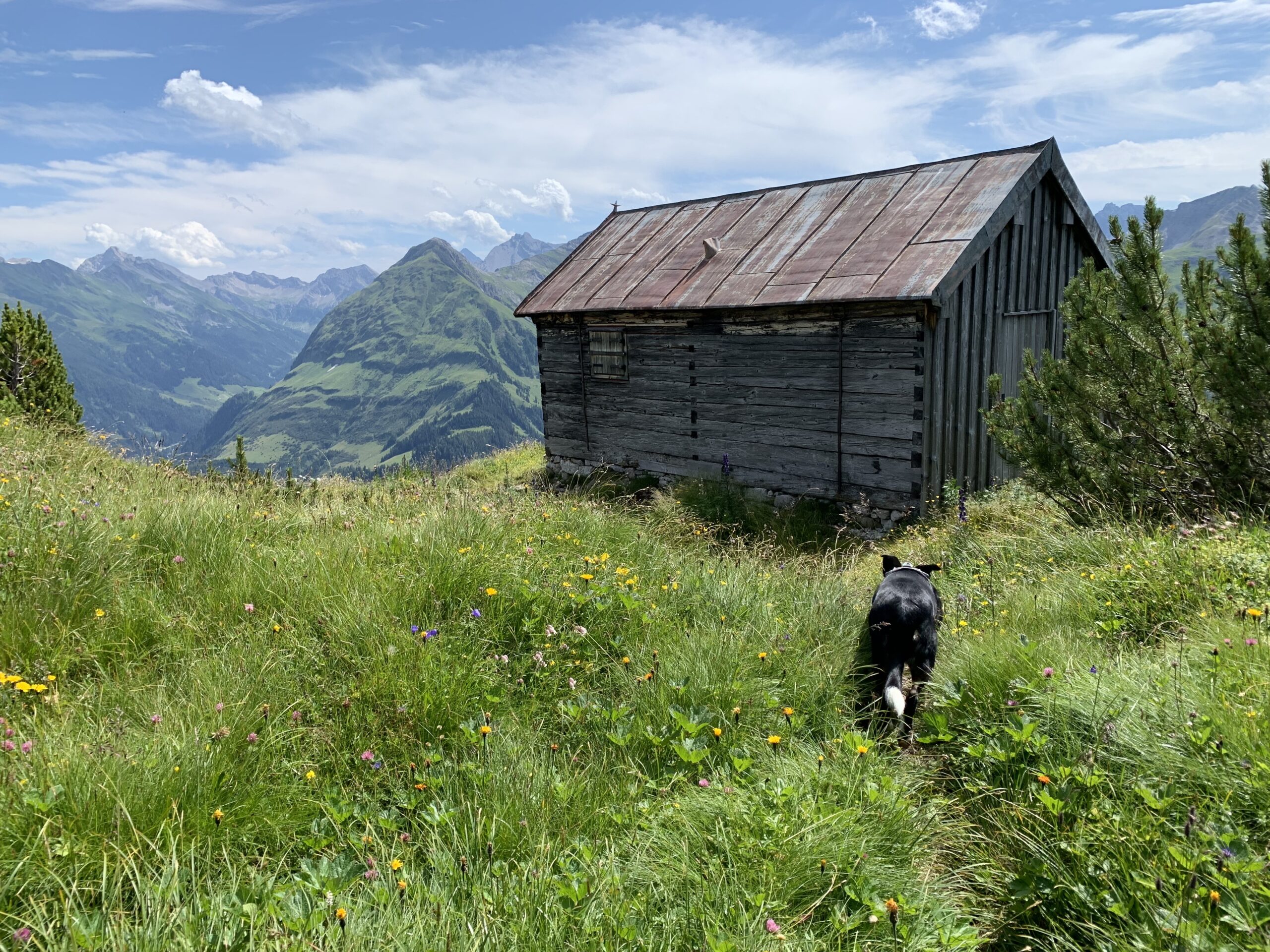 Mäuerleshütte