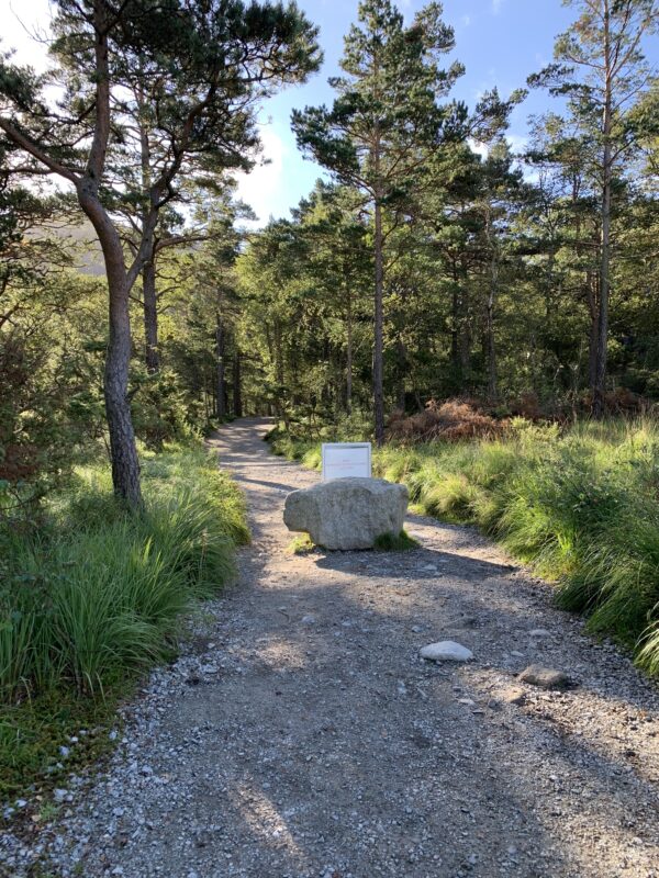 Preikestolen Trailhead