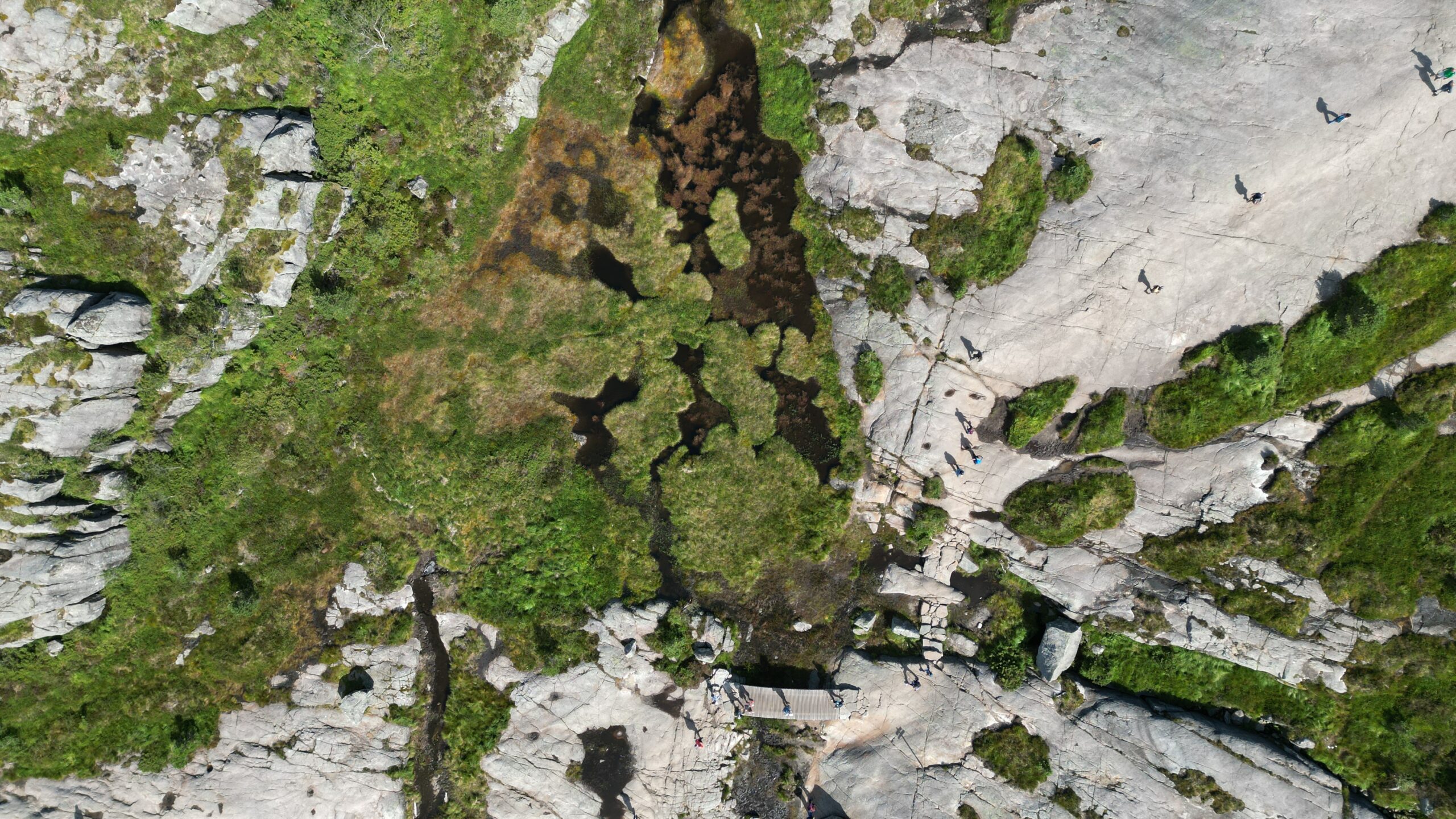 Preikestolen, Foto: Schaffrinna