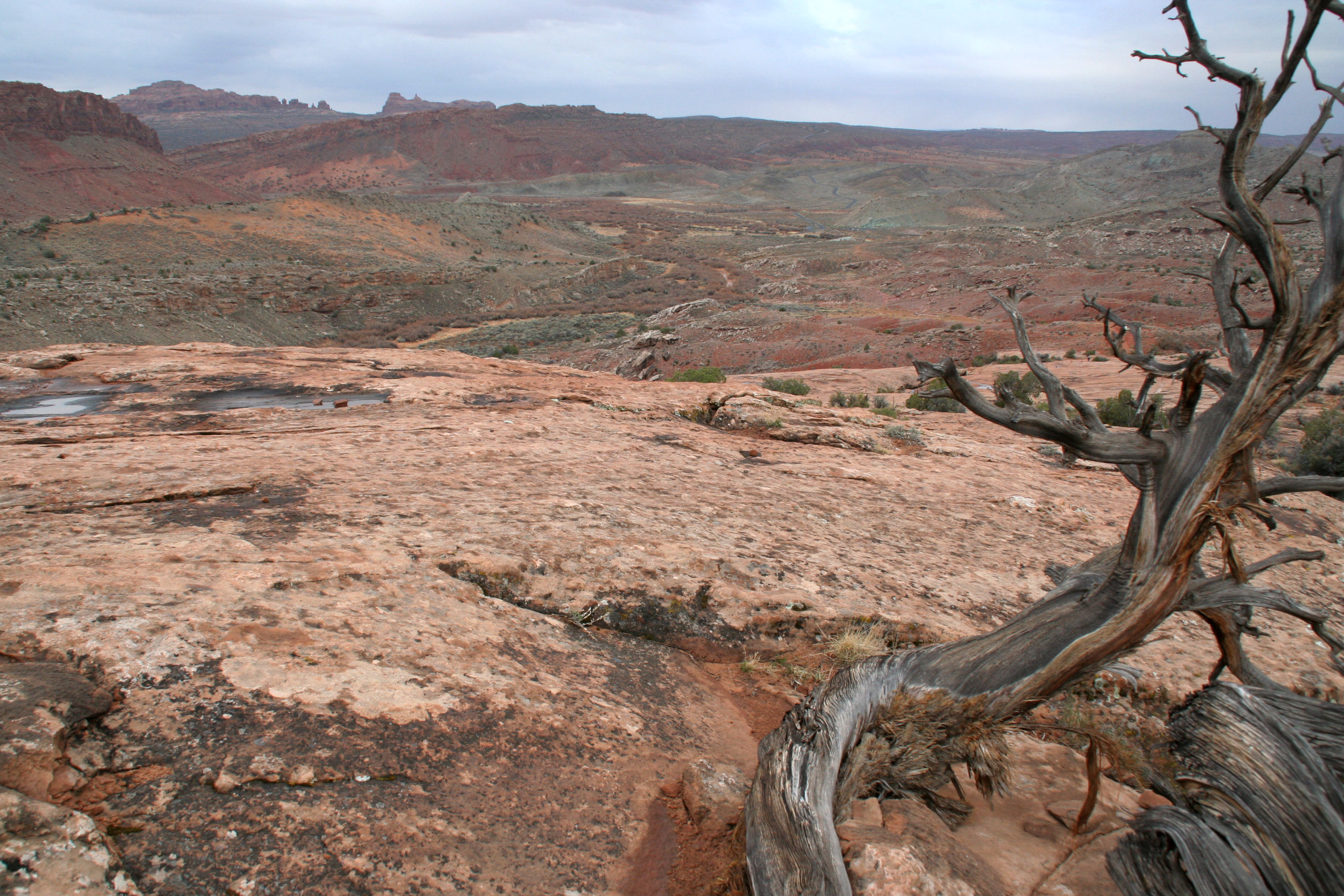 Wanderweg Delicate Arch