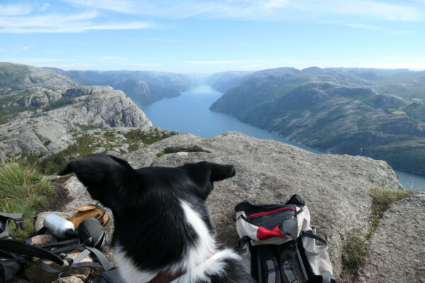 Preikestolen / Lysefjord