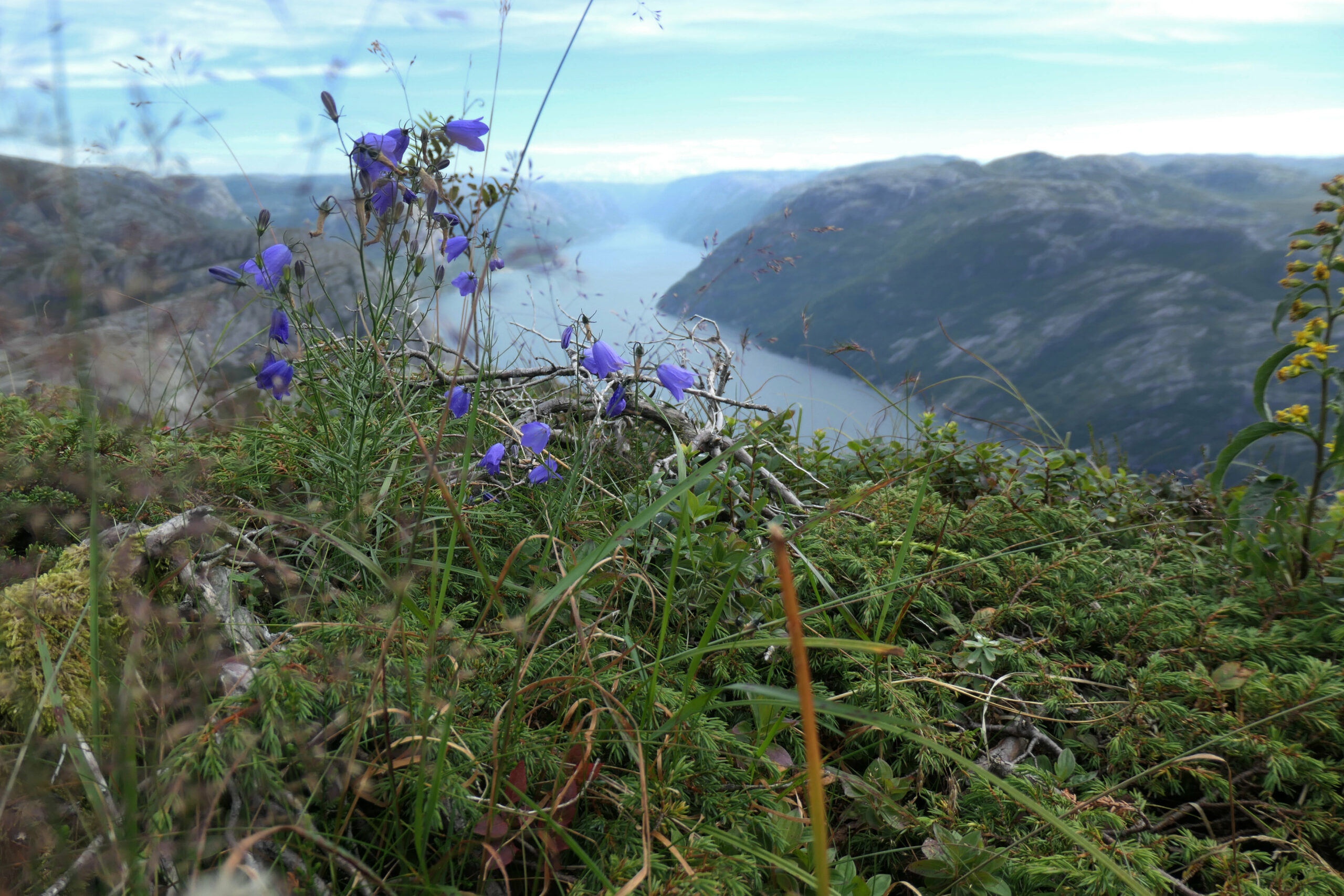 Lysefjord, Norwegen