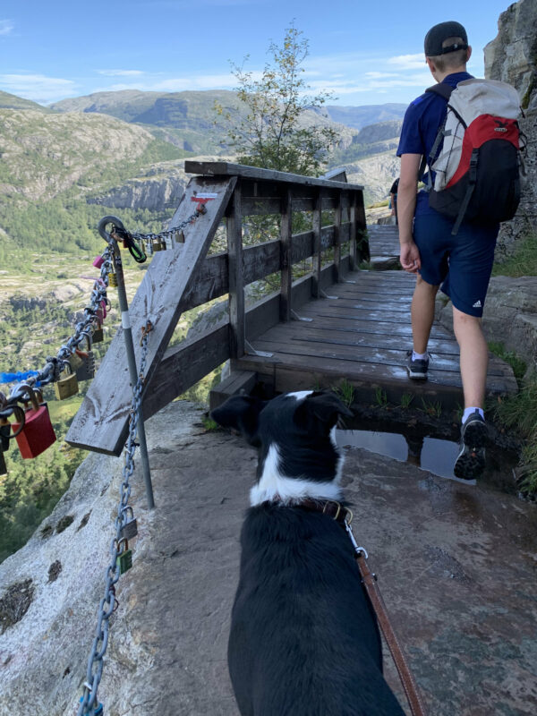 Wanderweg, Preikestolen