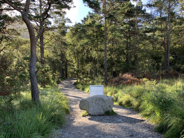 Wanderweg, Preikestolen