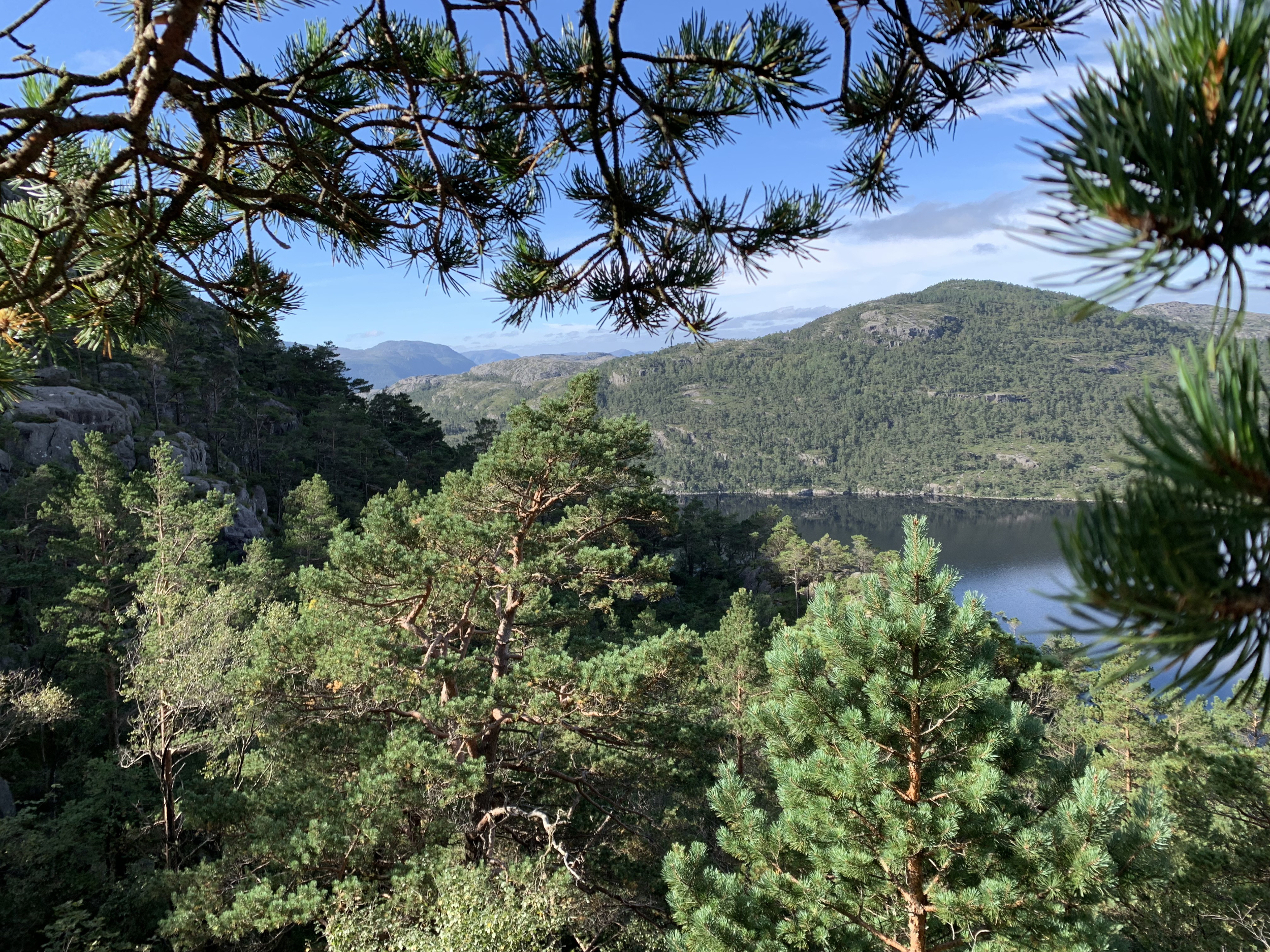Blick auf den Revsvatnet