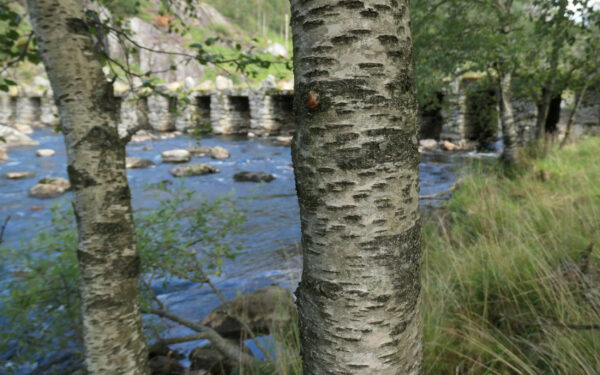 Terland Klopp Brücke