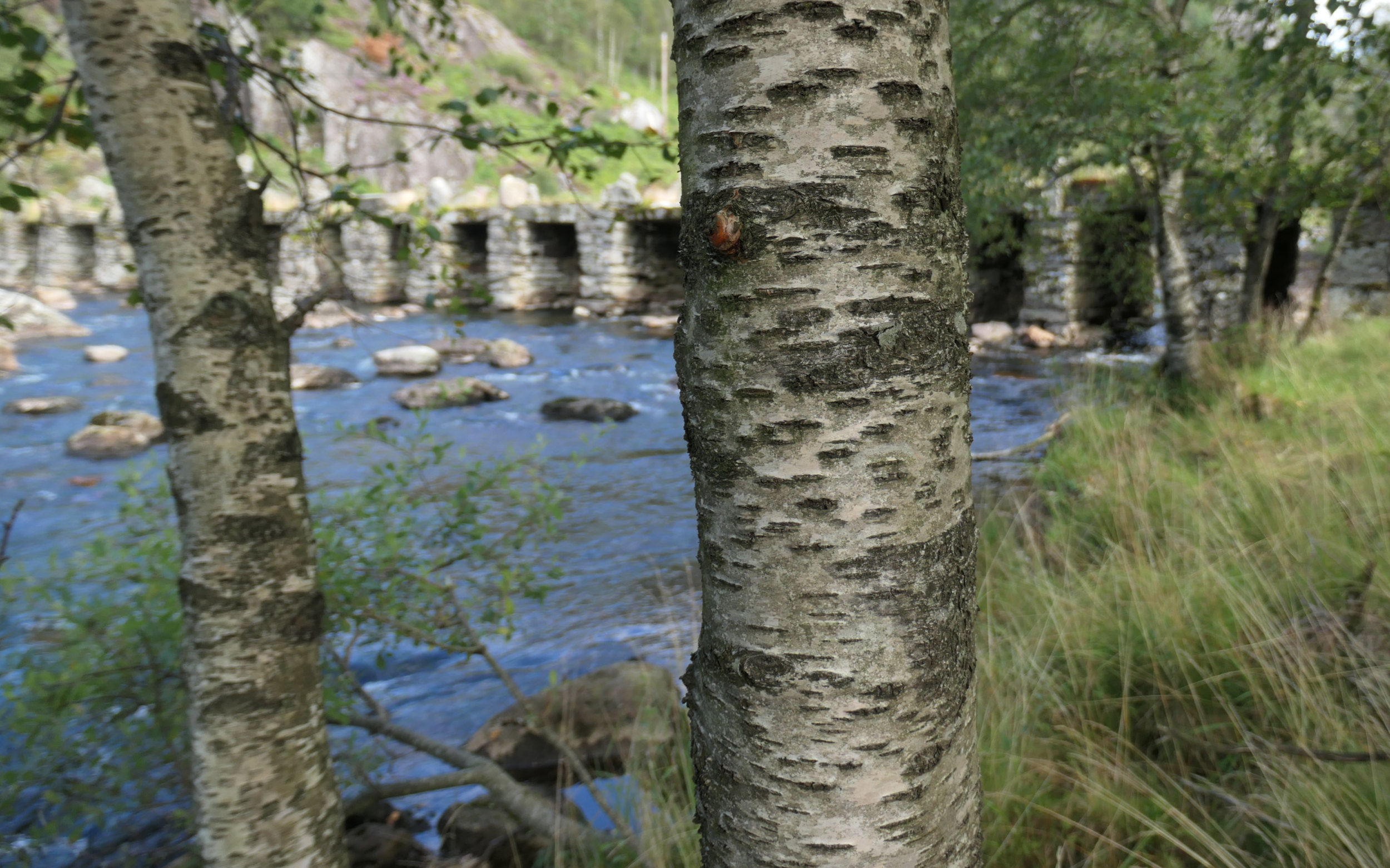 Terland Klopp Brücke