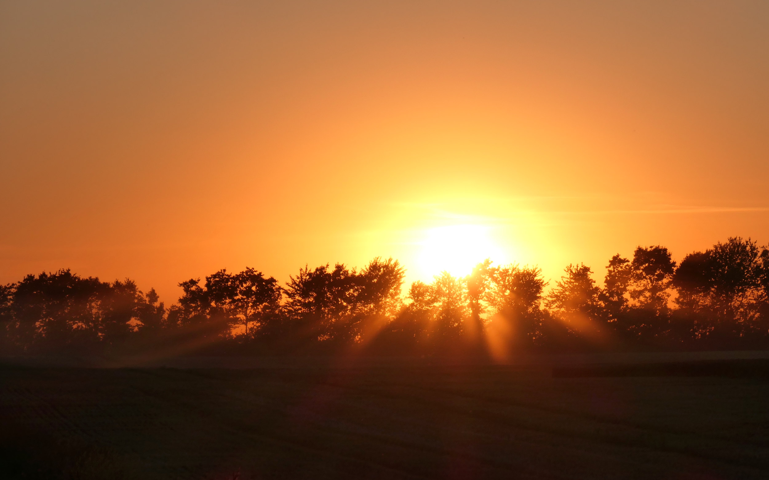 Sonnenuntergang nahe Ørsted, Dänemark