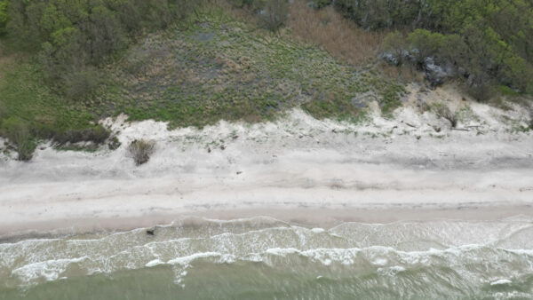 Weststrand, Darß