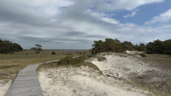Naturschutzgebiet Darßer Ort