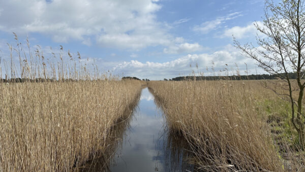 Naturschutzgebiet Darßer Ort