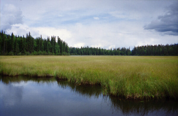 Bowron Lake Canoe Circuit