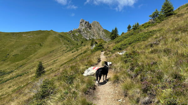 Anstieg mit Blick auf Arlspitze (2.185m)