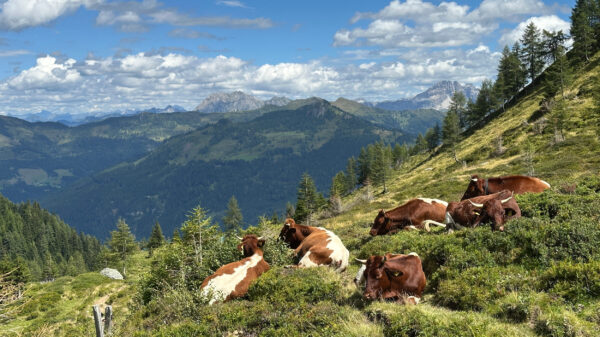 Kraxnkogel (2.436m) und Faulkogel (2.654m) in der Ferne