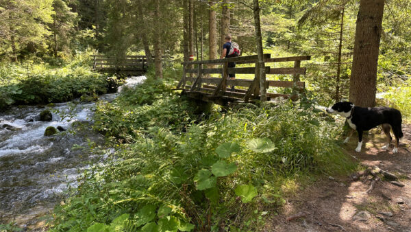 Wanderweg zwischen Ötzlsee und Schrödersee