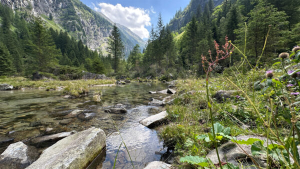 Bach zwischen Ötzlsee und Schrödersee