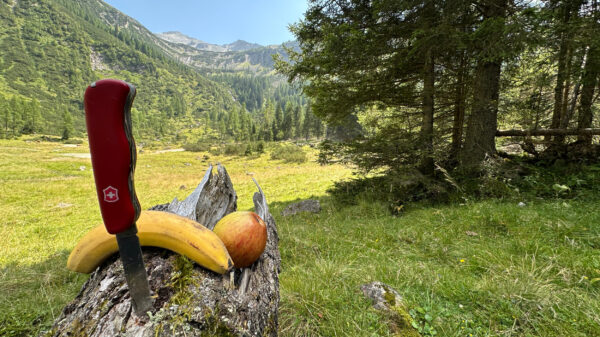 Rast am Schrödersee