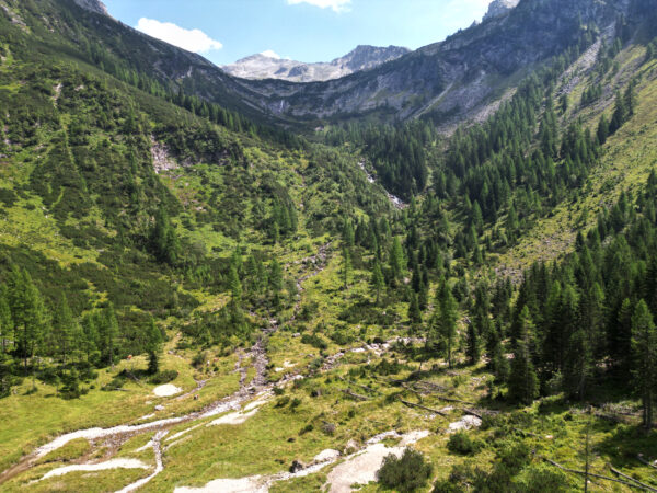 Schrödersee (im August)